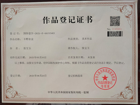 作(zuò)品登記證書(shū)